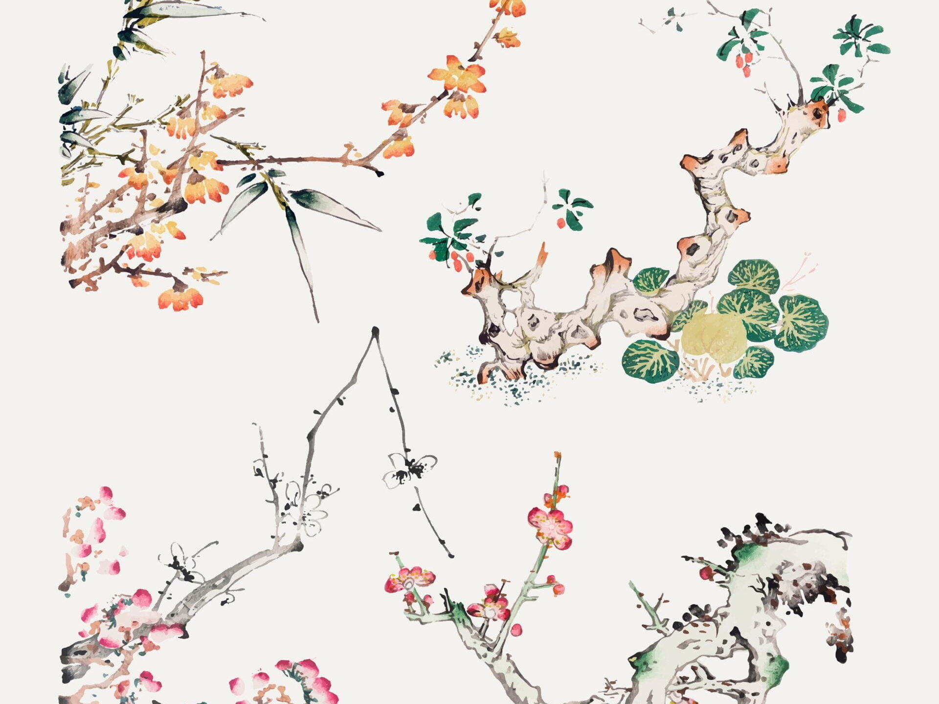 中讀網| 中華文化的數位圖書館