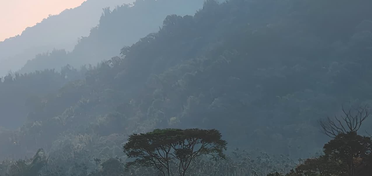 柳永,最能寫出兩地相思的苦味兒 柳永,最能寫出兩地相思的苦味兒