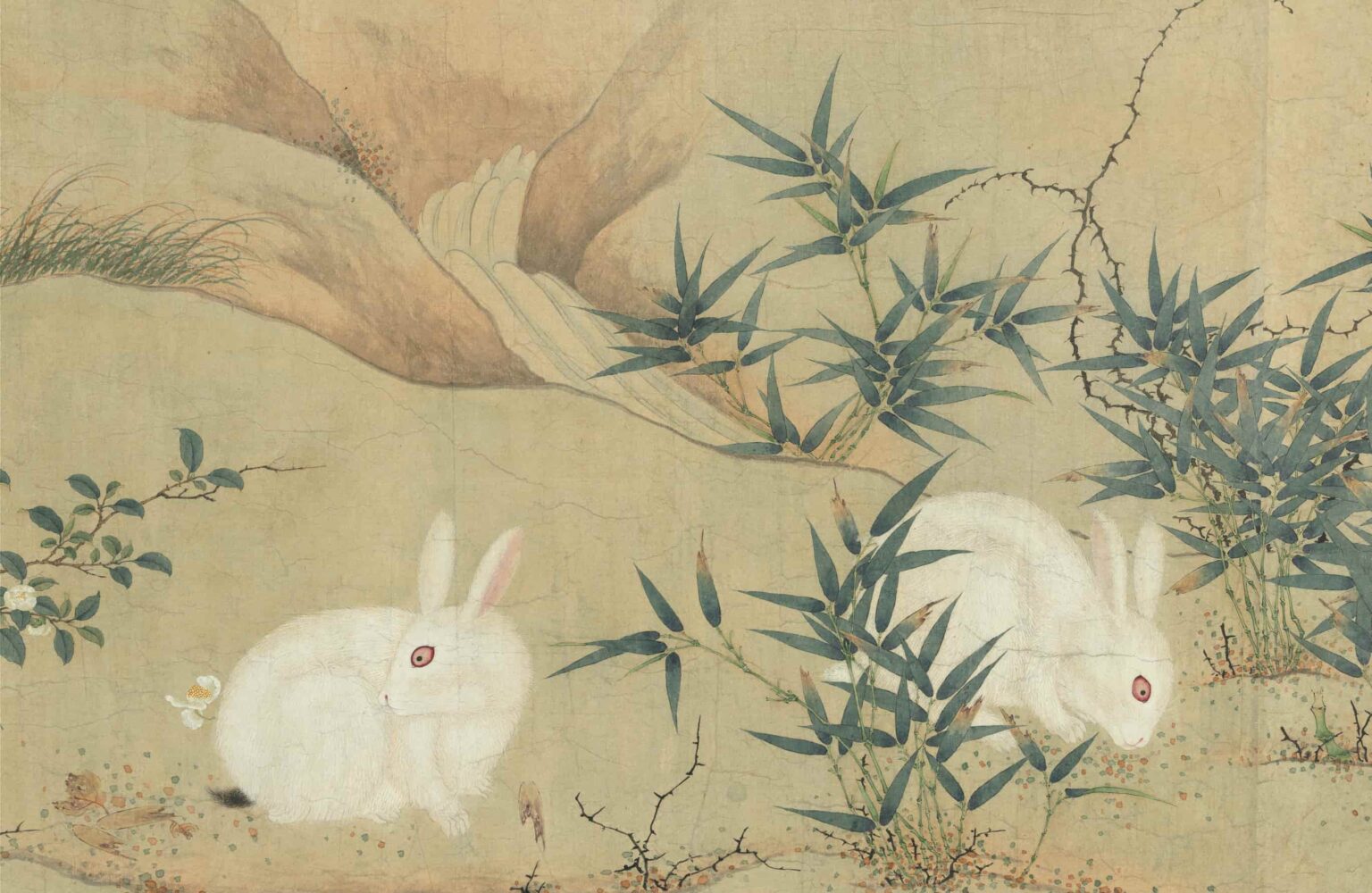 Chinese Idioms — A Cunning Rabbit Has Three Burrows | 中讀網