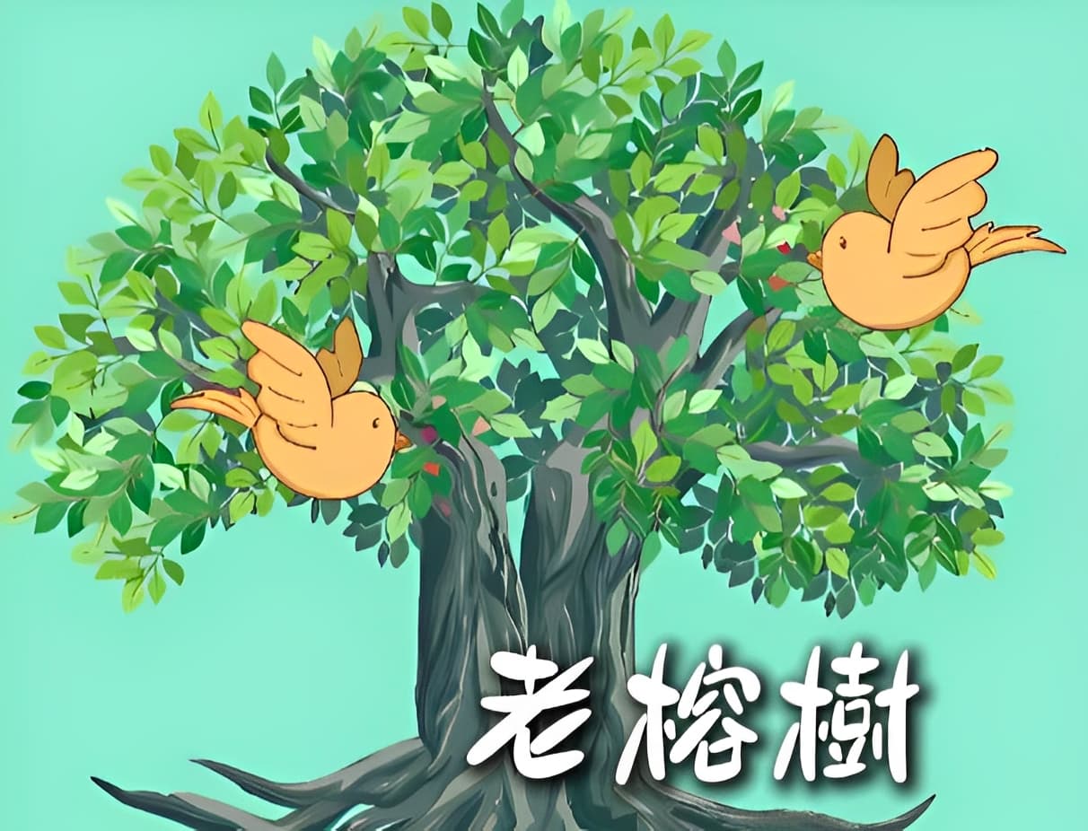 老榕樹 | 中讀網