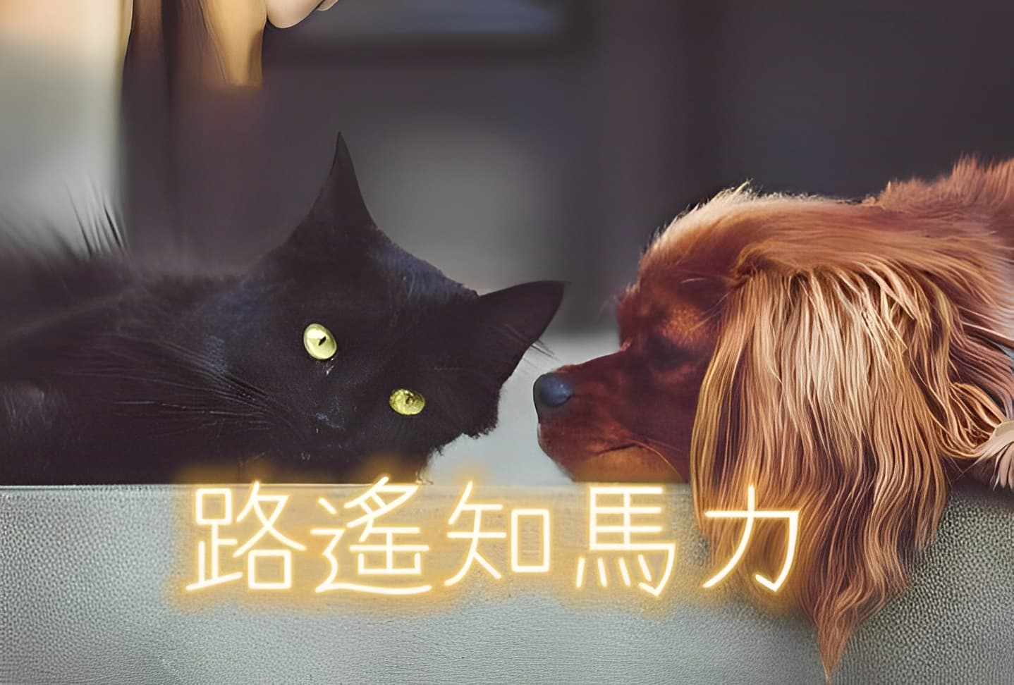 路遙知馬力