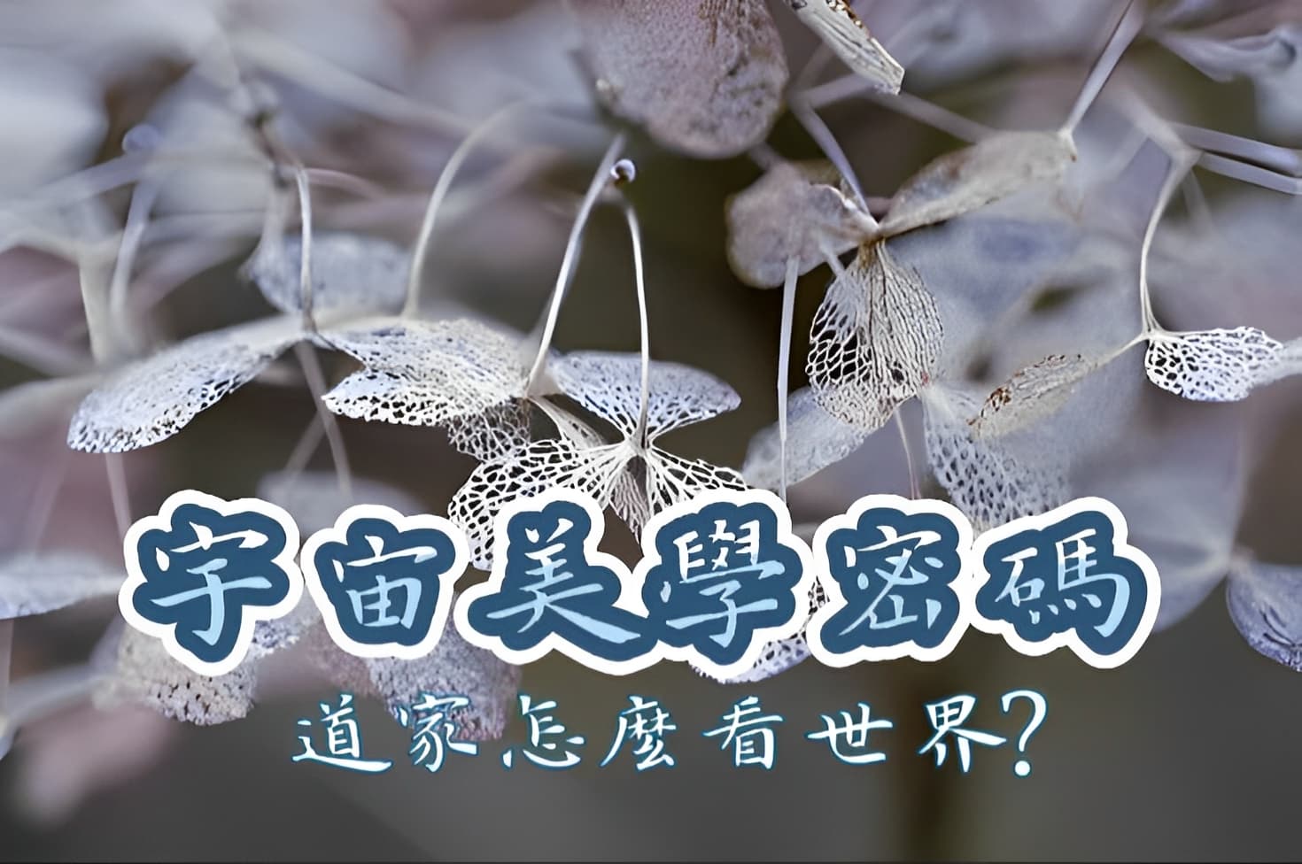 宇宙的美學密碼：道家如何看世界？（二）