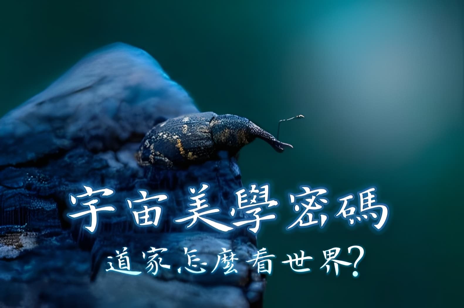 宇宙的美學密碼：道家如何看世界？（二）