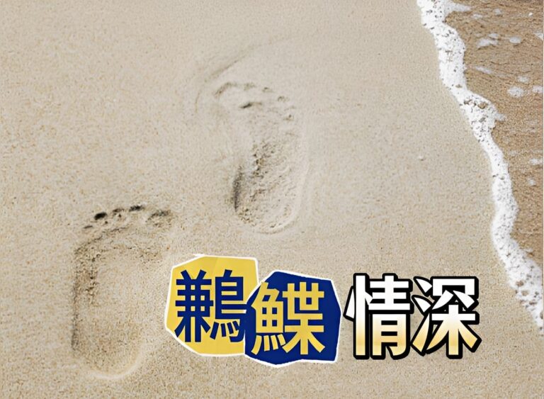 鶼鰈情深 鶼鰈情深