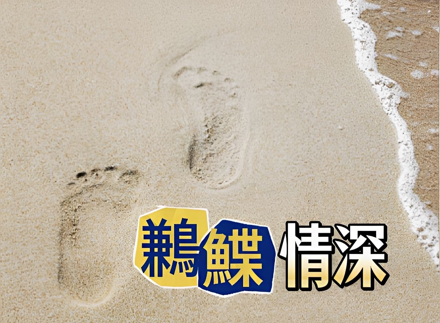 鶼鰈情深