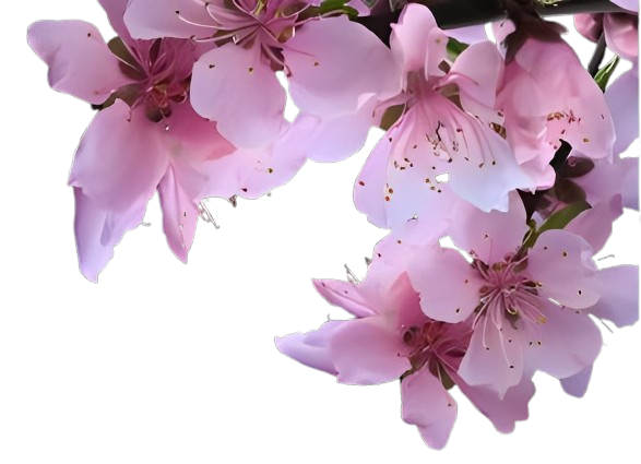 李白〈春夜宴從弟桃花園序〉 李白〈春夜宴從弟桃花園序〉
