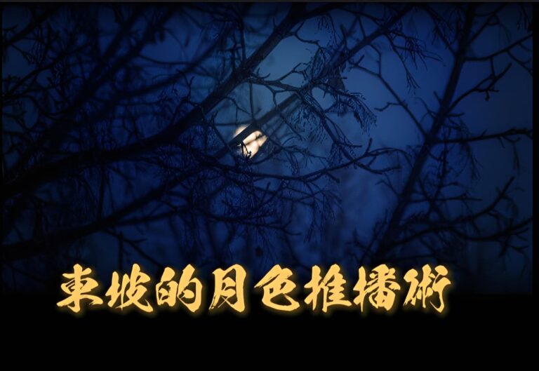 語文教育