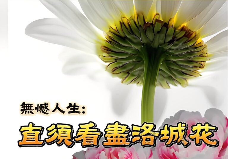看盡繁花,活出豁達的「無憾」人生 看盡繁花,活出豁達的「無憾」人生