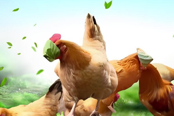 Blinded by a Leaf: A Chinese Idiom Blinded by a Leaf: A Chinese Idiom