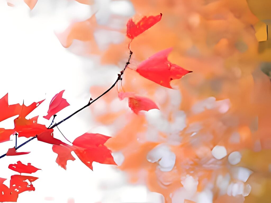 〈行香子〉——東坡教我們該如何接受老去