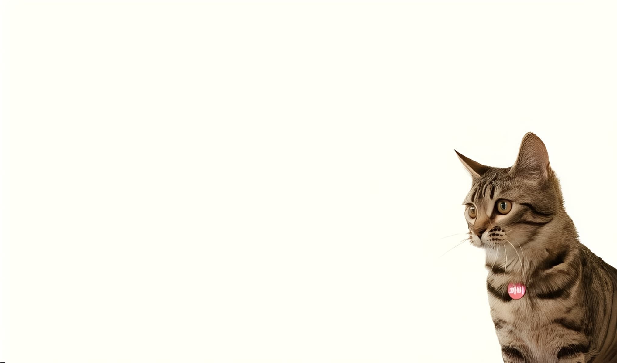 放下，才能看見真正的幸福――晏殊「憐取眼前人」的幸福密碼