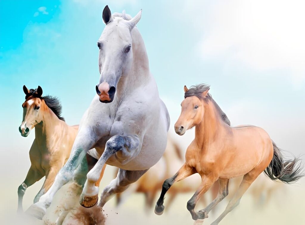 教育現場的真空地帶:當「不敢管」遇上「管不到」 教育現場的真空地帶:當「不敢管」遇上「管不到」