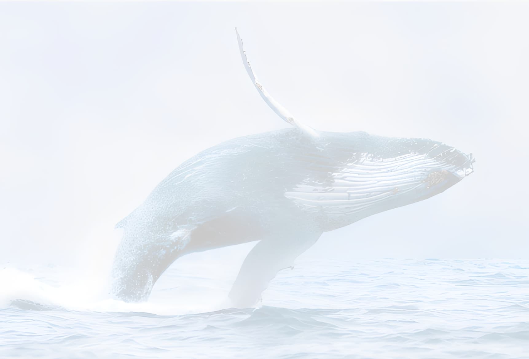 老子的「水逆生存術」 ――逆境不是問題，老子教你如何像水一樣無敵