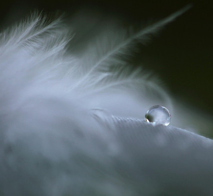 張籍〈節婦吟〉的比興寄託