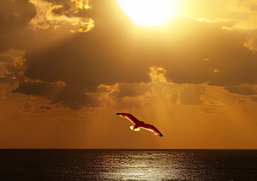 王勃〈滕王閣序〉：秋水一瞬，回聲千年