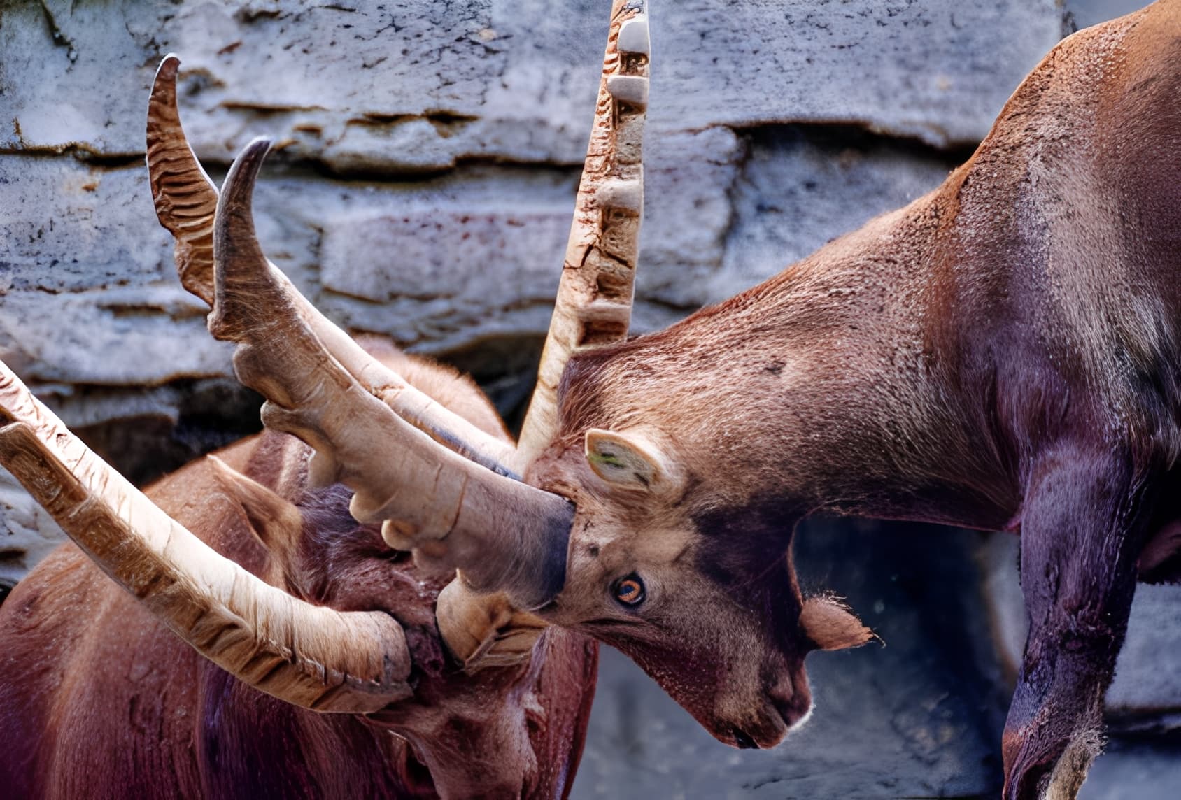 東山再起：謝安的仕與隱