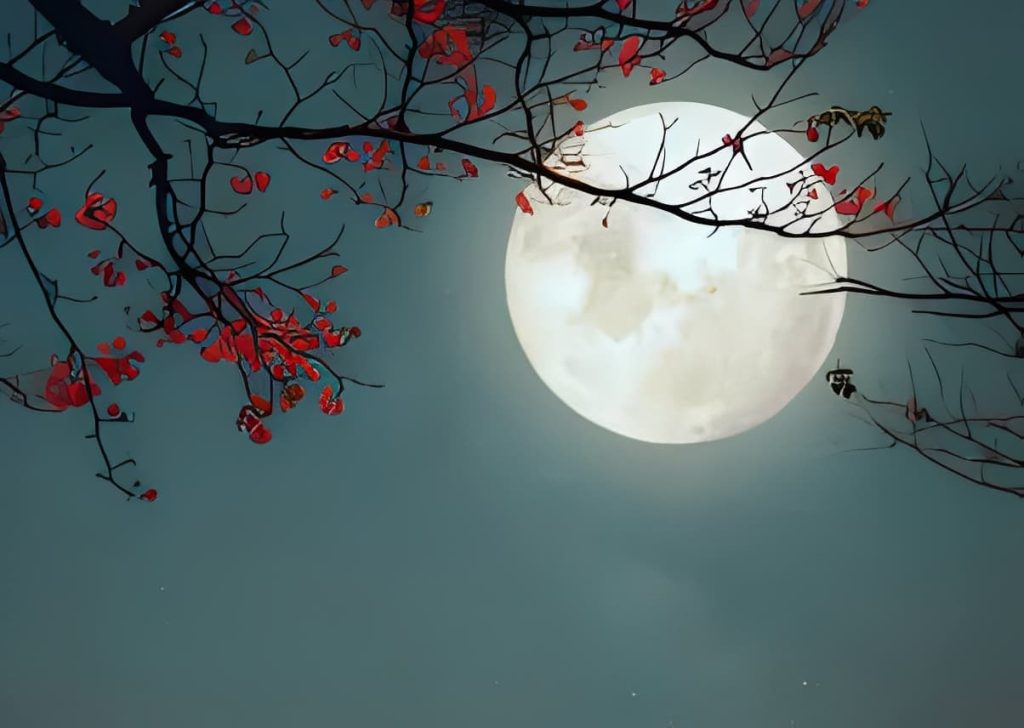 不讓鬚眉的巾幗英雄――木蘭