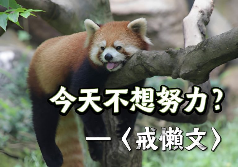 今天不想努力?先看看陳獻章的貓——〈戒懶文〉的反拖延術 今天不想努力?先看看陳獻章的貓——〈戒懶文〉的反拖延術