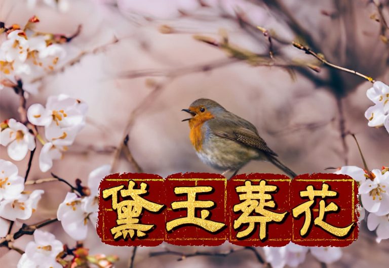 語文教育