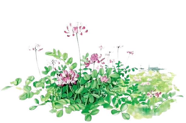 《紅樓夢》黛玉葬花:從憐花到自憐,從清醒到清白 《紅樓夢》黛玉葬花:從憐花到自憐,從清醒到清白
