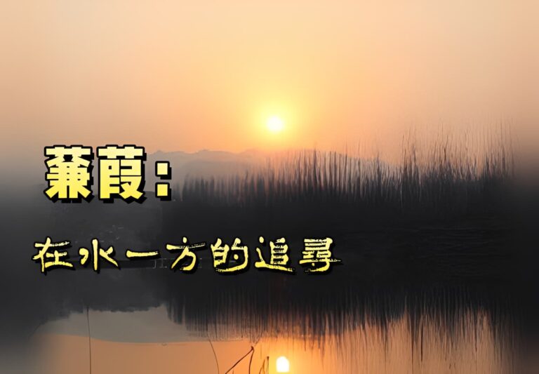 詩國大觀
